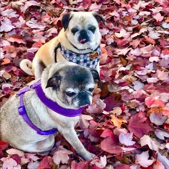 Meet your Posher, Karmen - Picture 8 of 8